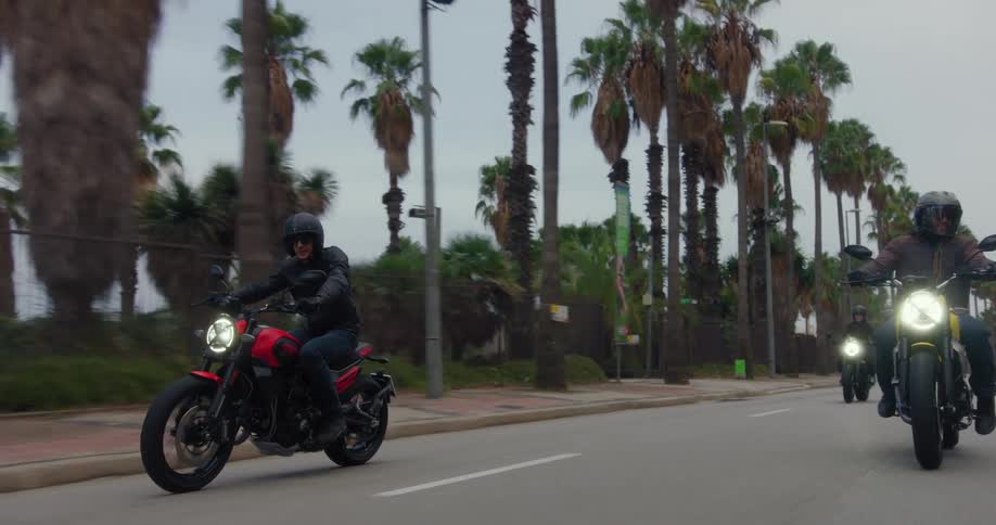 Three motorcyclists riding on a roadway along tall palm trees