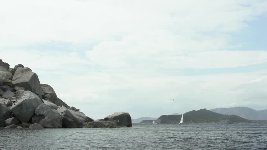 Two sailboats move through a coastal bay as birds fly overhead
