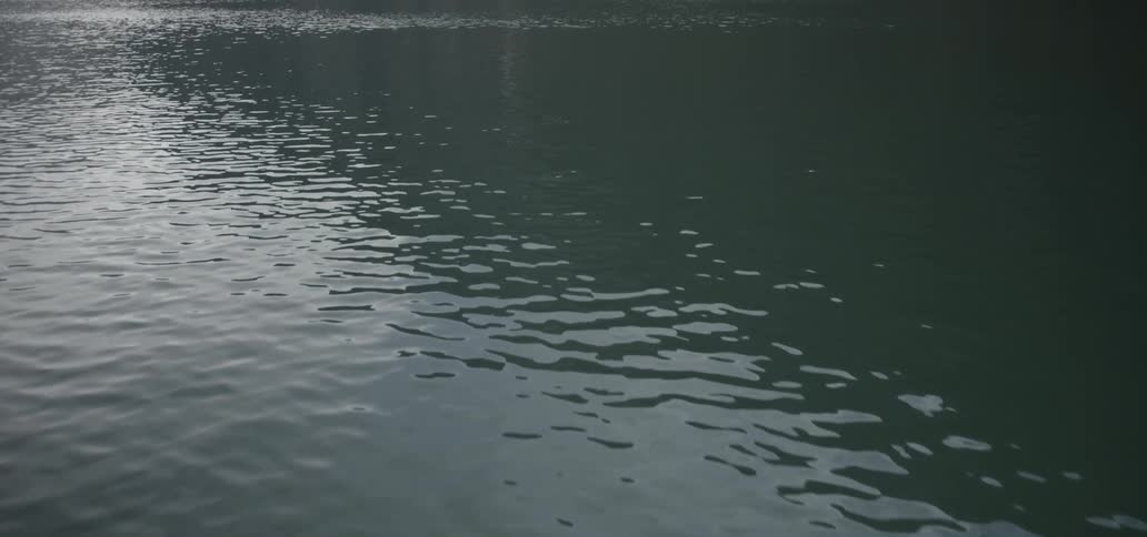 Water ripples on a lake
