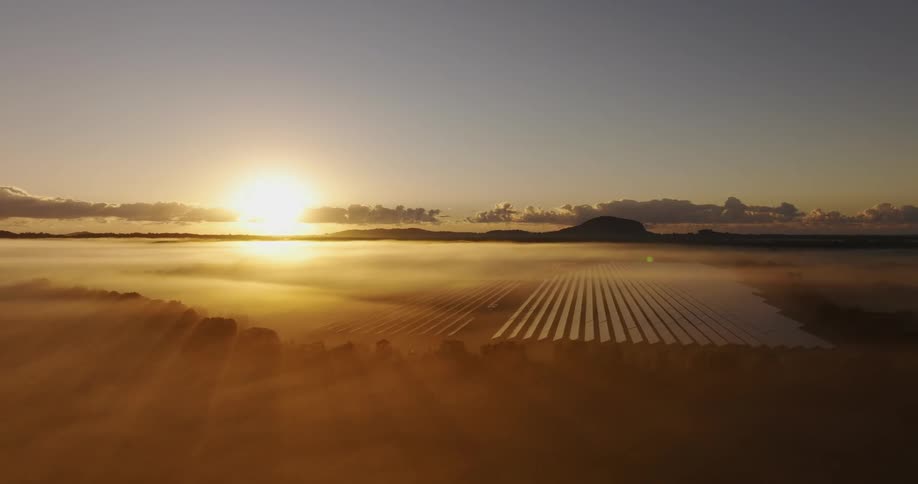 A field of solar panels is bathed in the golden light of sunrise with fog rolling across the landscape