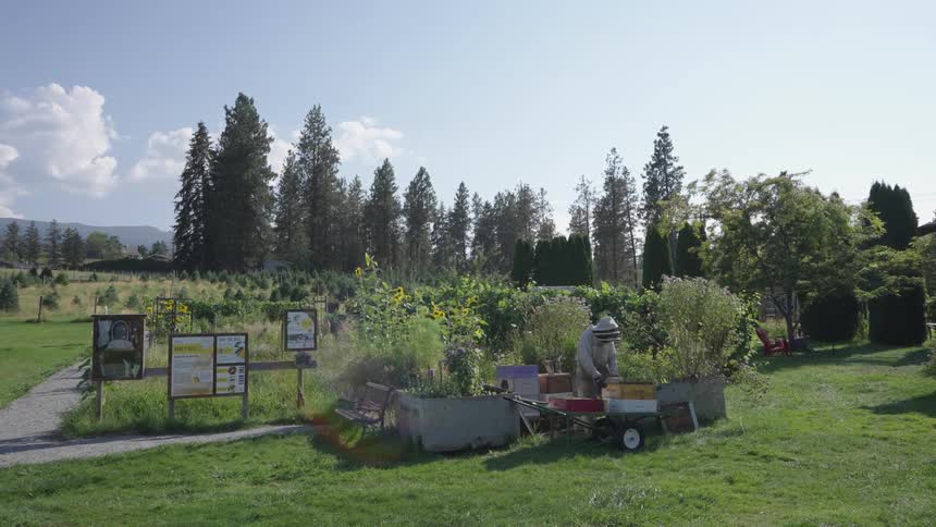 Beekeeper working in a box in an environment surrounded by vegetation