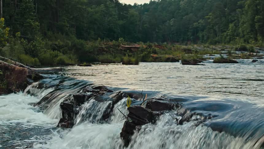 A clip of a river in the forest