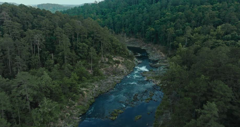 River surrounded by mountainous forests