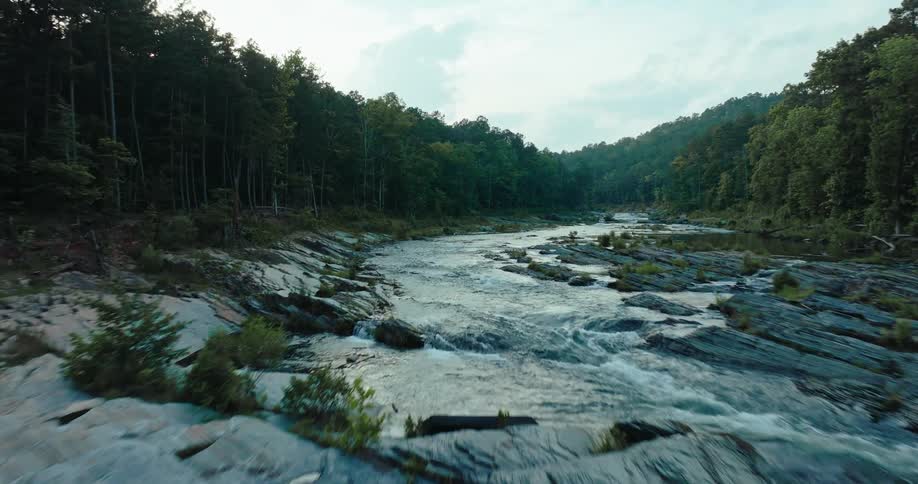 Serene river flowing through a forested area