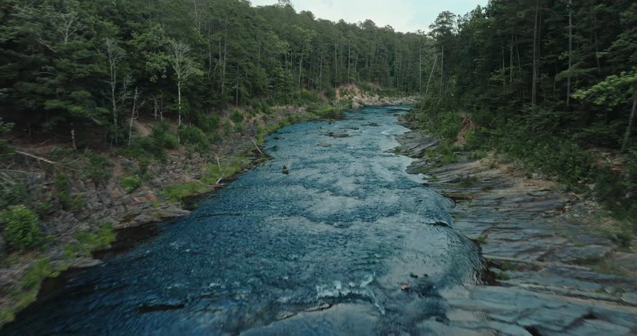 River flowing through a forested area with dense trees on either side