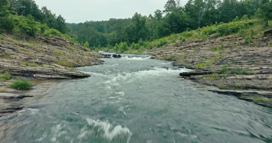 A river flows over rapids and through a forest
