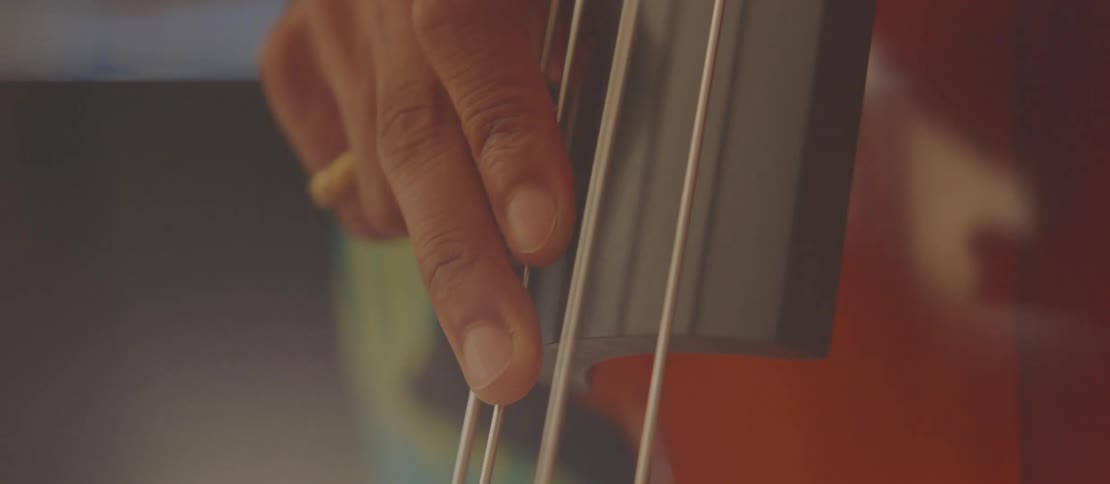 Persons fingers playing the strings of a musical instrument