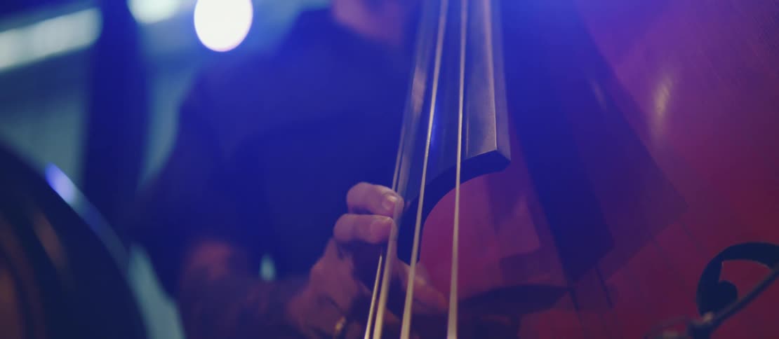 Fingers of a person playing a stringed musical instrument