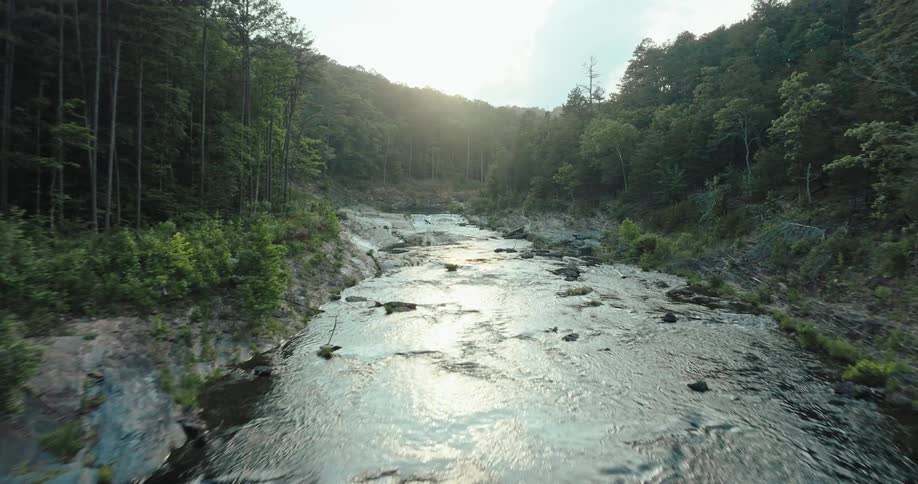A river runs over rocks and rapids and through a dense forest