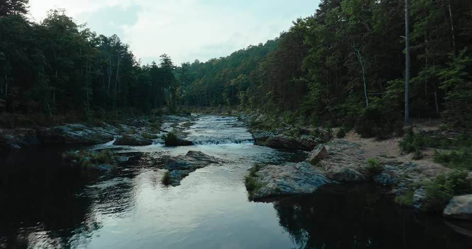 A river flows over rocks through a deep forest