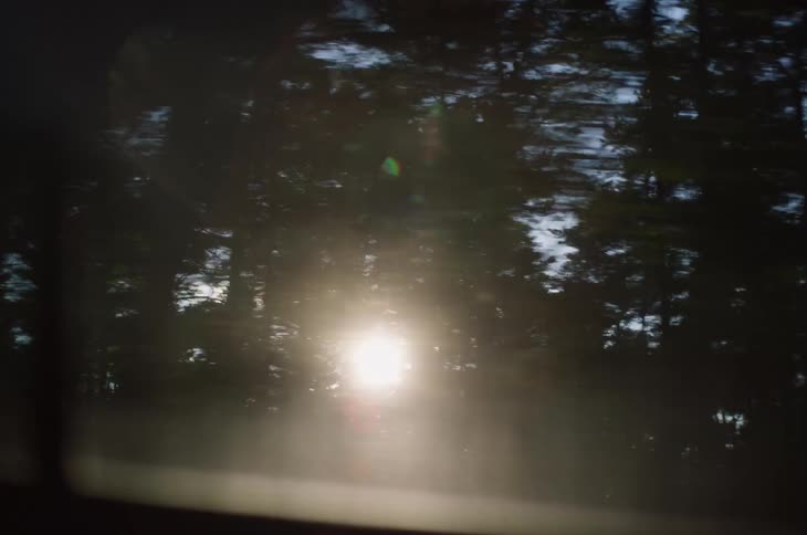 Speeding by forest trees as the low sun shines between them