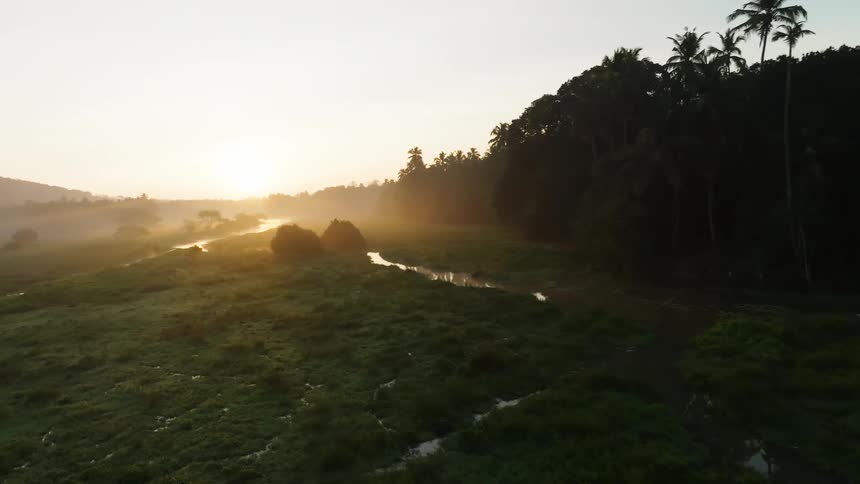 River winds through the wetlands bordering the forest at sunset