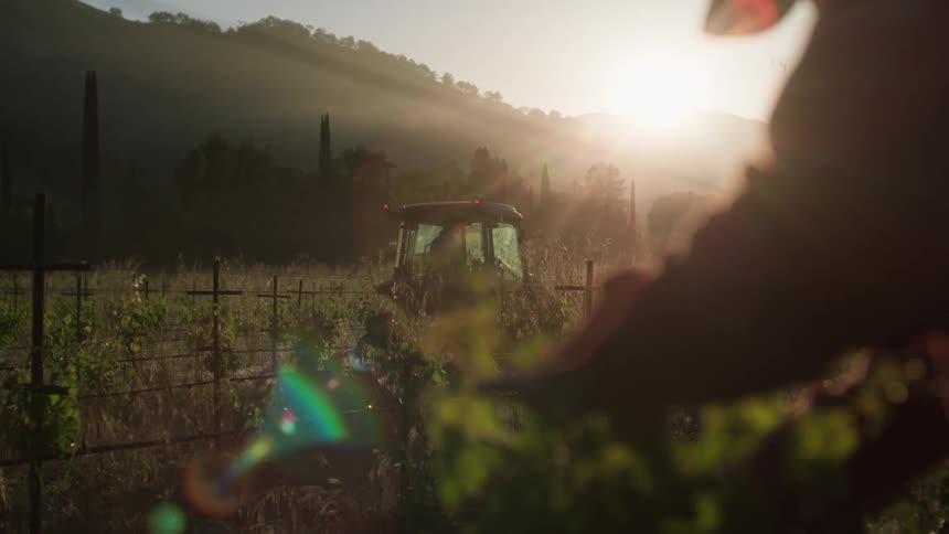 A person picks crops while another person drives a tractor through a field on a farm