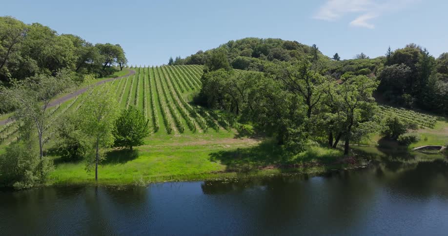 A farm is by the shore of the lake