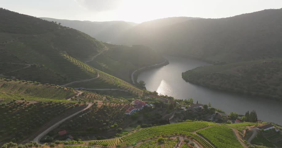 A scenic view of a river winding through a valley with terraced vineyards on the slopes