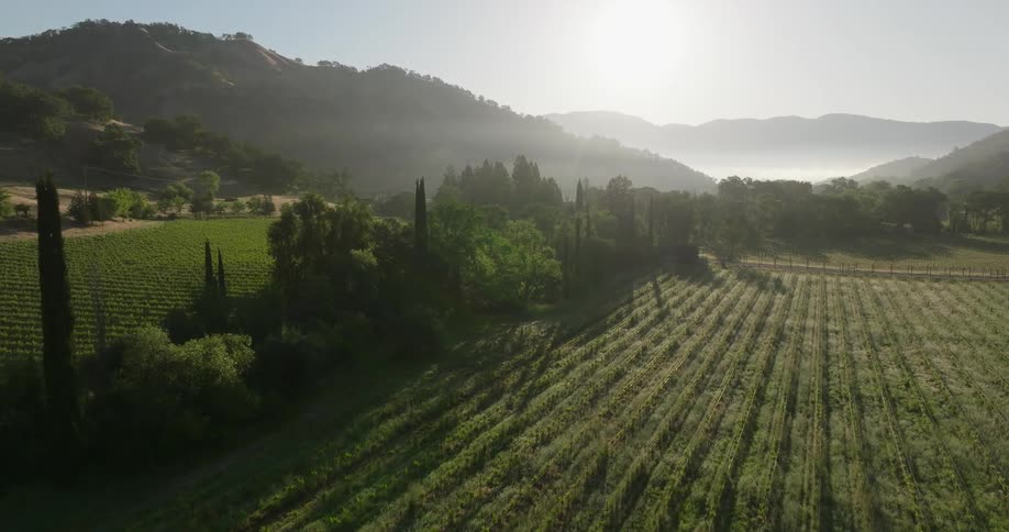 Aerial landscape of an agricultural field with a sun on the horizon and mountains around