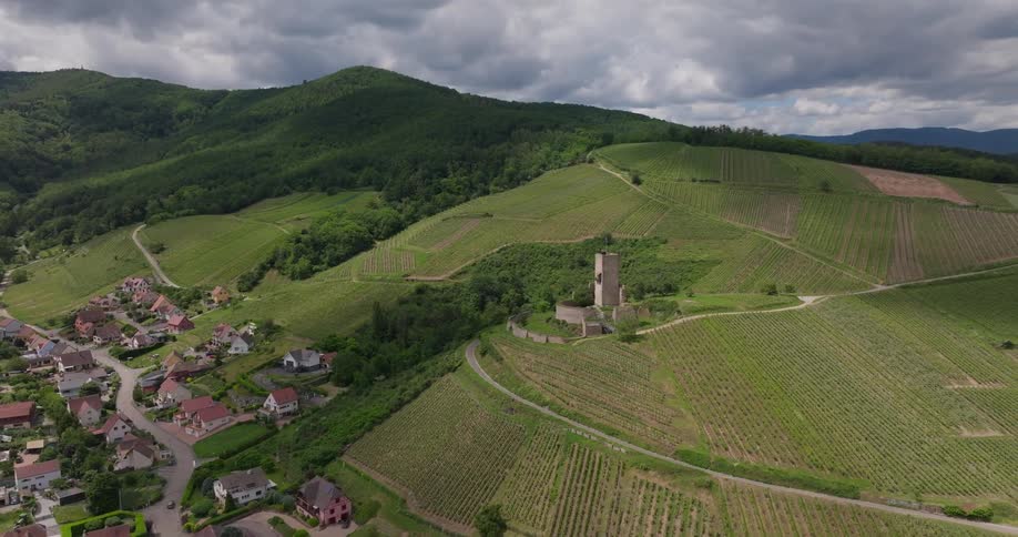 Aerial view of vine fields near a rural village