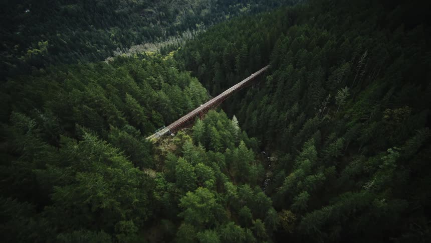 An aerial view of a wooden bridge spanning a valley of lush green trees