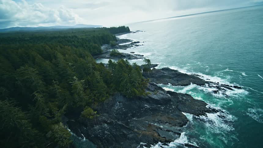 An aerial view of a rugged coastline with dark forested hills and white capped waves crashing along the rocky shore