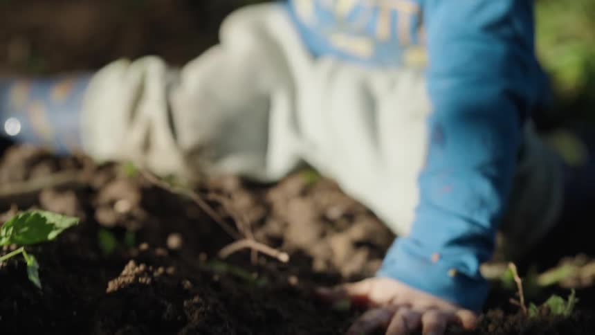 A clip of a baby playing with the soil