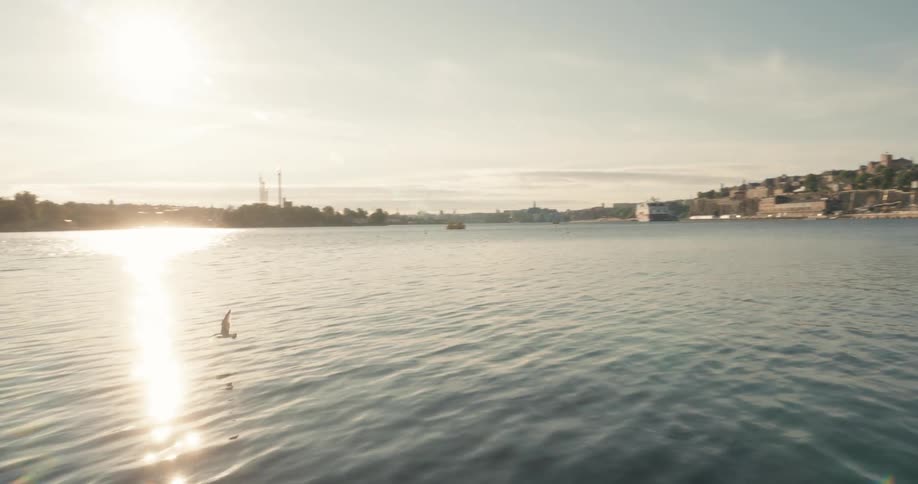 A bird flies over the water by the city
