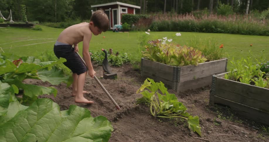 A young boy rakes a garden while his sister enters a small building in the background