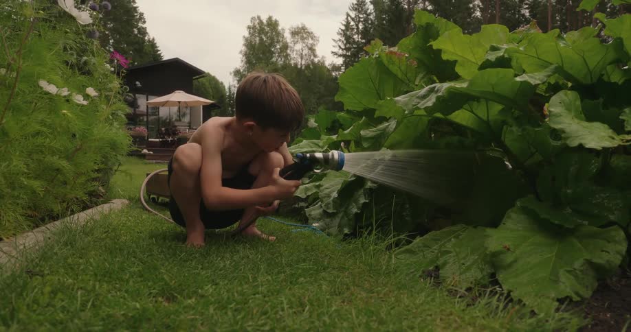 A young boy squatting in a garden watering large green plants with a hose while a house with a patio and umbrella is visible in the background amidst trees and greenery