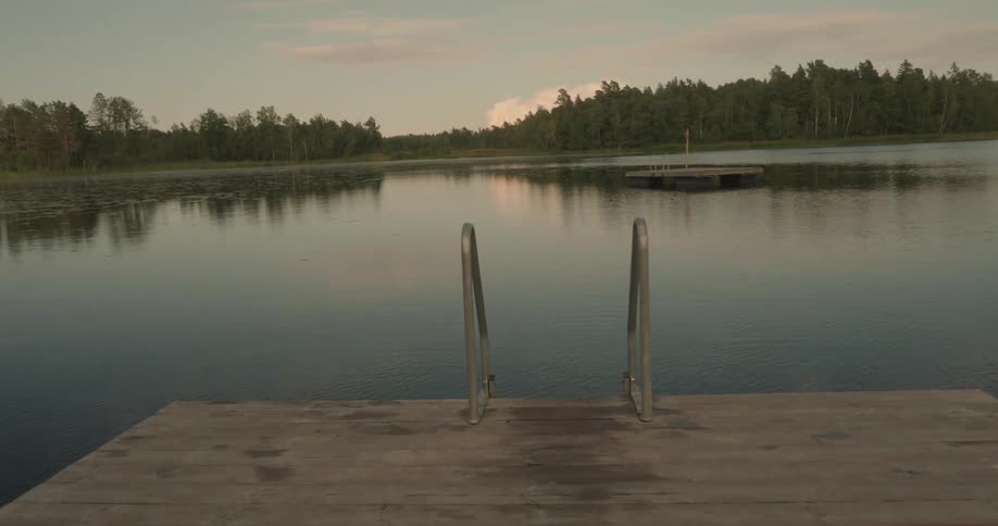 A wooden dock with a ladder leading into a calm lake surrounded by lush greenery and a distant forest