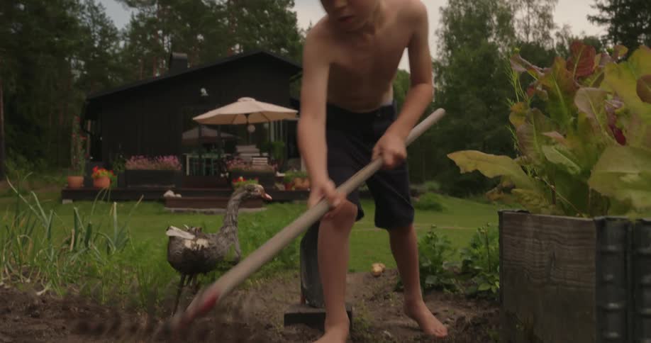 A clip of a boy farming the career
