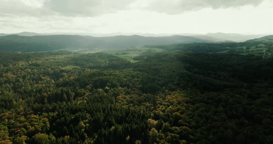 Aerial landscape of dense forests with mountains on the horizon