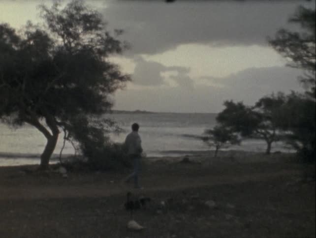 Man walking in a seaside setting