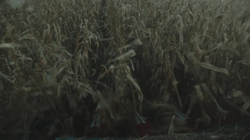Front of a machine harvesting an agricultural field