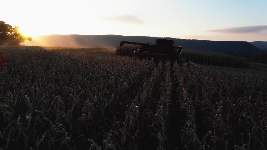 A combine harvester in a field during sunrise or sunset with sunlight peeking through the hills in the background
