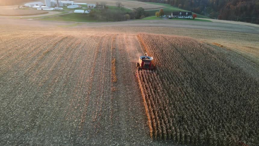 Red tractor works in a field