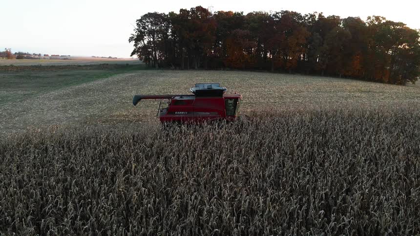 A harvester works the fields on the farm