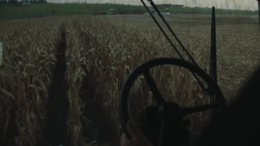 Hand of a person operating an agricultural machine and performing harvest in a cornfield