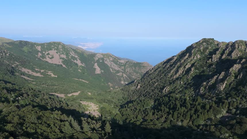 Forest covers the slopes of mountains and the valley between them under a bright blue sky