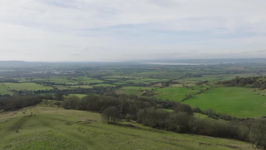 Aerial landscape of a vast green field with scattered trees