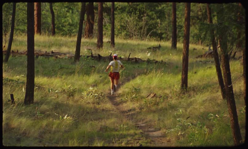 A lone runner traverses a path winding through a forest