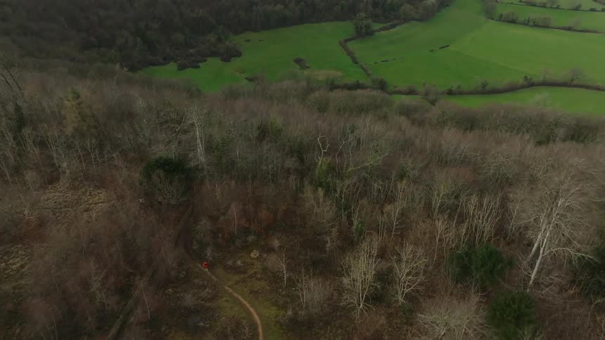 A jogger runs on a path that leads into a forest on a mountain