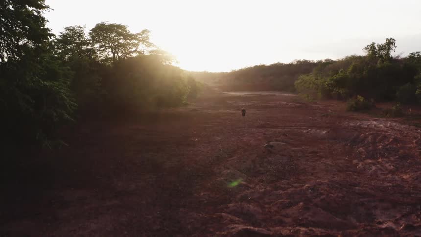 A pan down of a large dirt path framed by trees