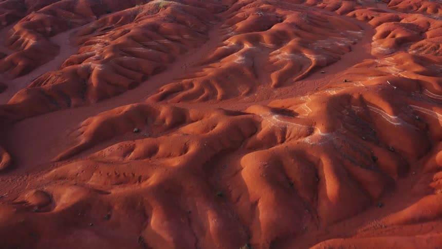 Dunes of red sand with small plants growing from them