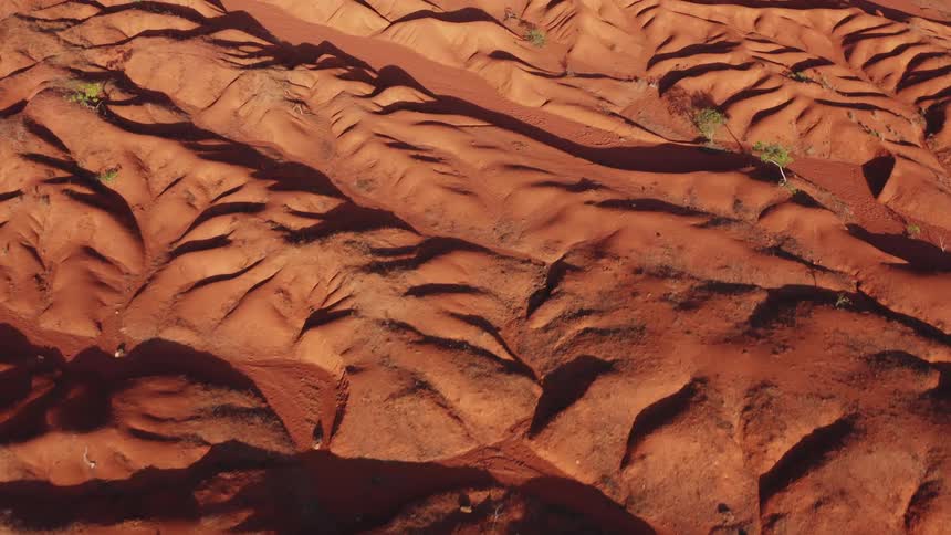 A desert with a few sparse trees sprawls across the terrain