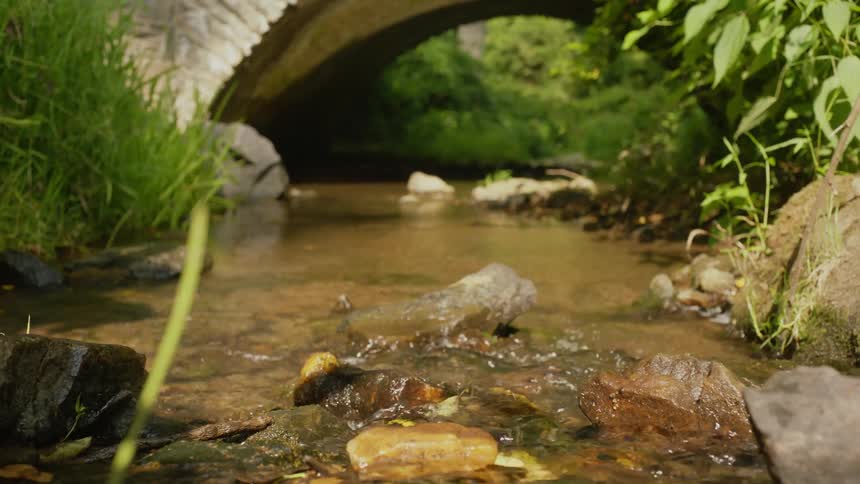 Shallow water of a flowing river