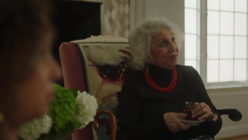 Elderly lady sitting in an armchair with a cup and a woman next to her