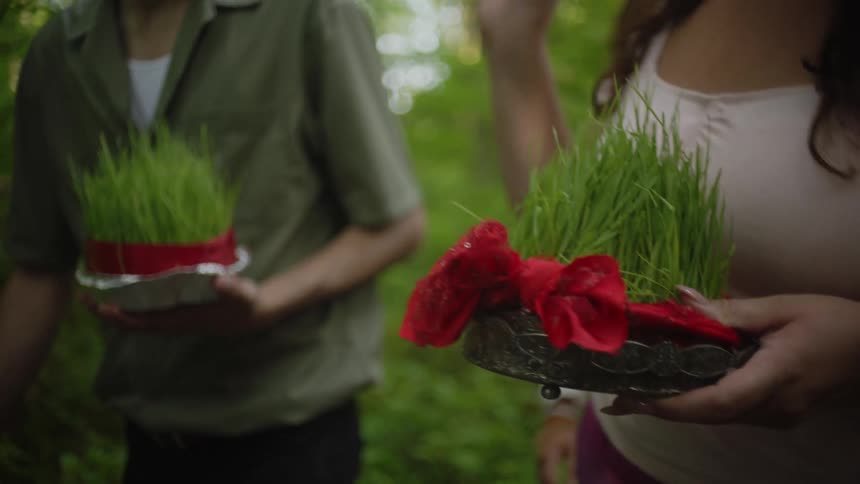 Man and woman walking in a natural environment carrying a plant in their hands