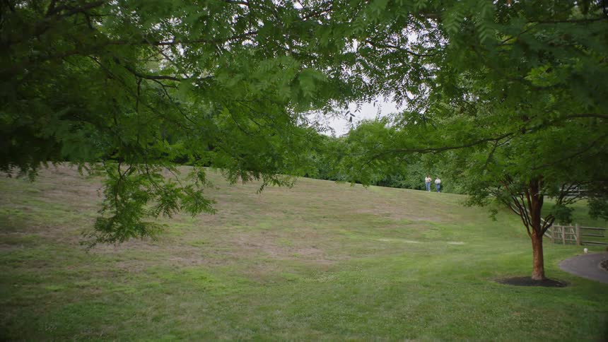 Landscape of a field with grass and trees and two people walking