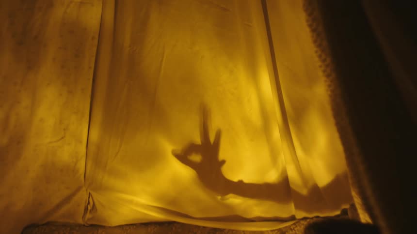 Two boys sitting playing shadow play
