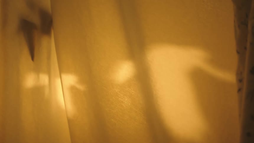 Sequential images of a bird in flight projected with light onto a waving sheet