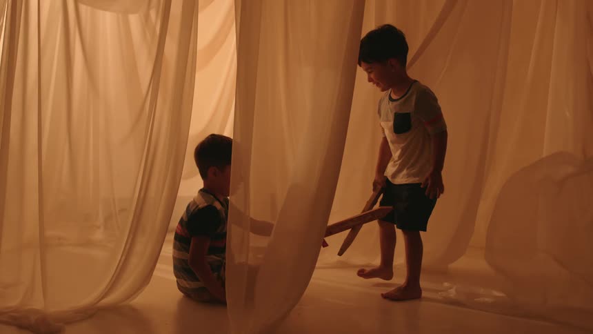 A clip of two brothers playing